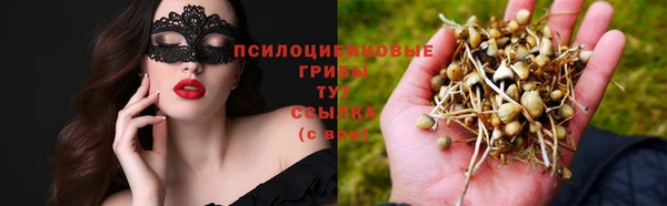 трава Володарск